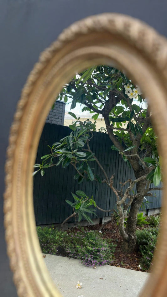 Vintage ornate gilt framed oval mirror